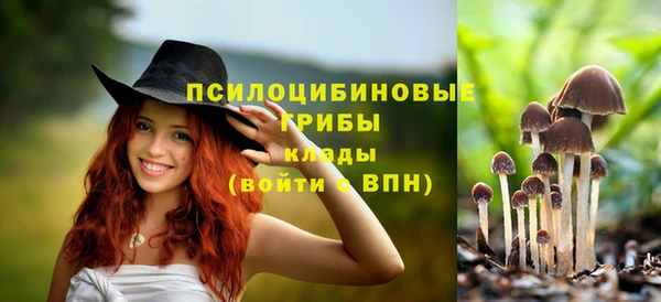 MDMA Premium VHQ Красноперекопск